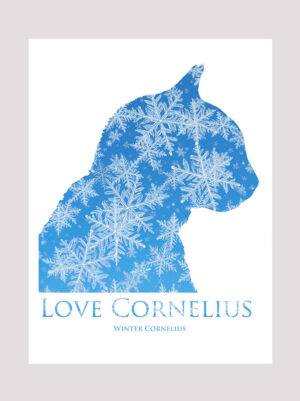 Love Cornelius the cat