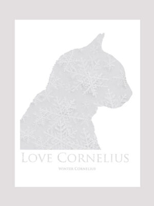 Love Cornelius the cat