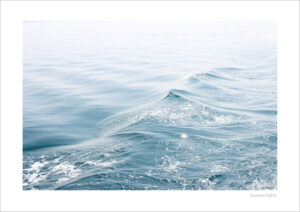 S018 Silk Sea