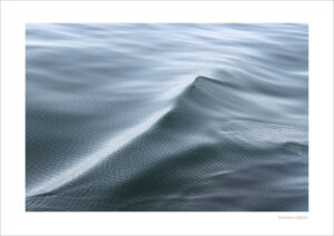 S019 Silk Sea