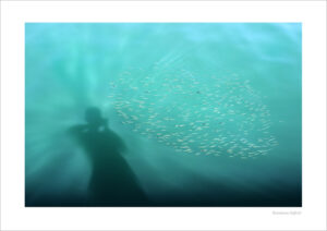 S023 Fish Attack