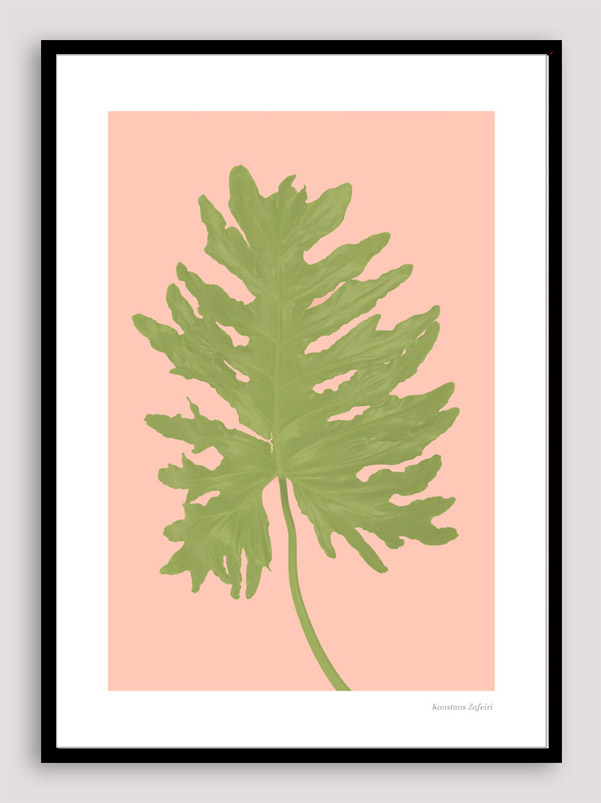 BNS011 BOTANICAL FUN BNS011 BOTANICAL FUN