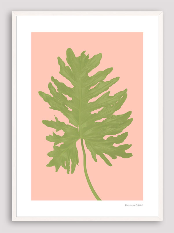 BNS011 BOTANICAL FUN BNS011 BOTANICAL FUN