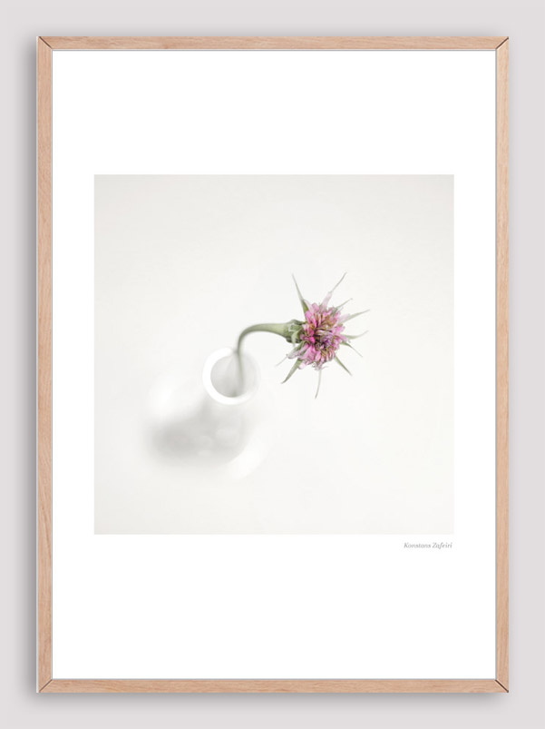BNS026 Botanical