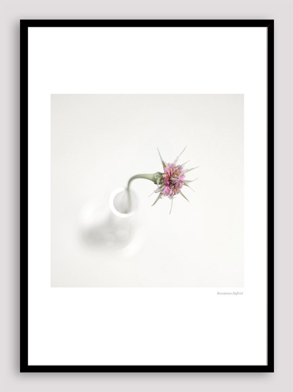 BNS026 Botanical