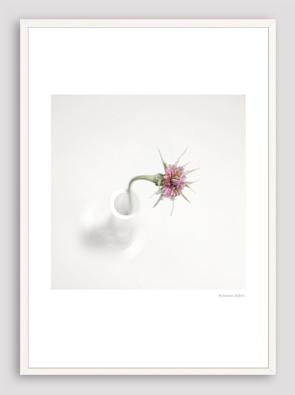 BNS026 Botanical