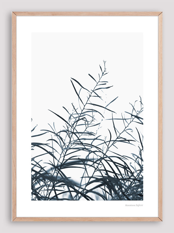 BNS035 Botanical