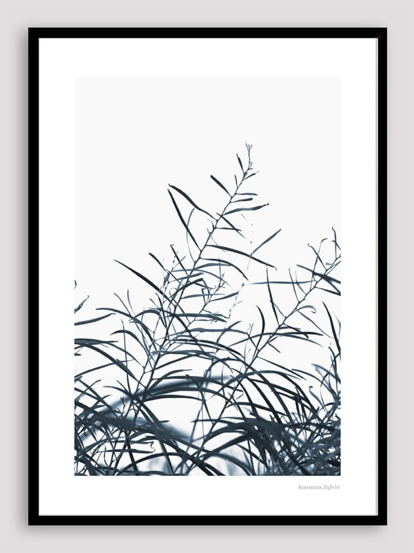 BNS035 Botanical