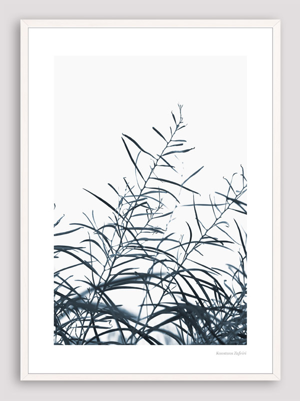BNS035 Botanical