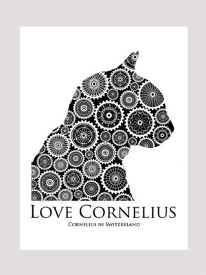 Love Cornelius the cat