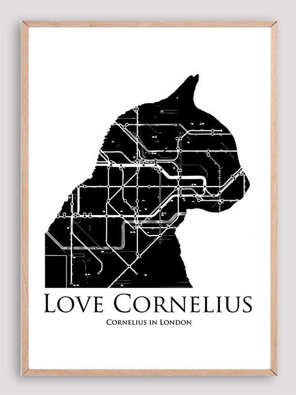 Love Cornelius the cat