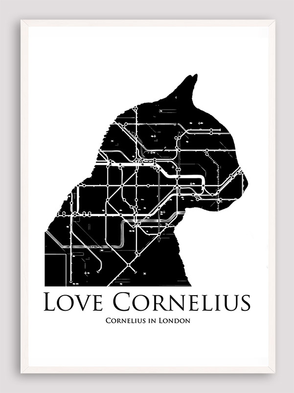 Love Cornelius the cat
