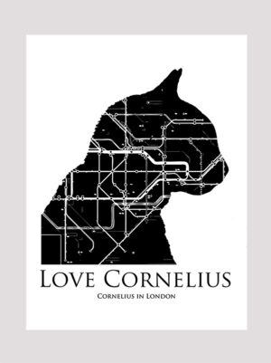 Love Cornelius the cat