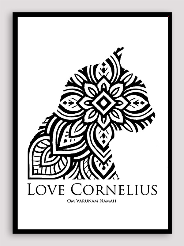 Love Cornelius the cat