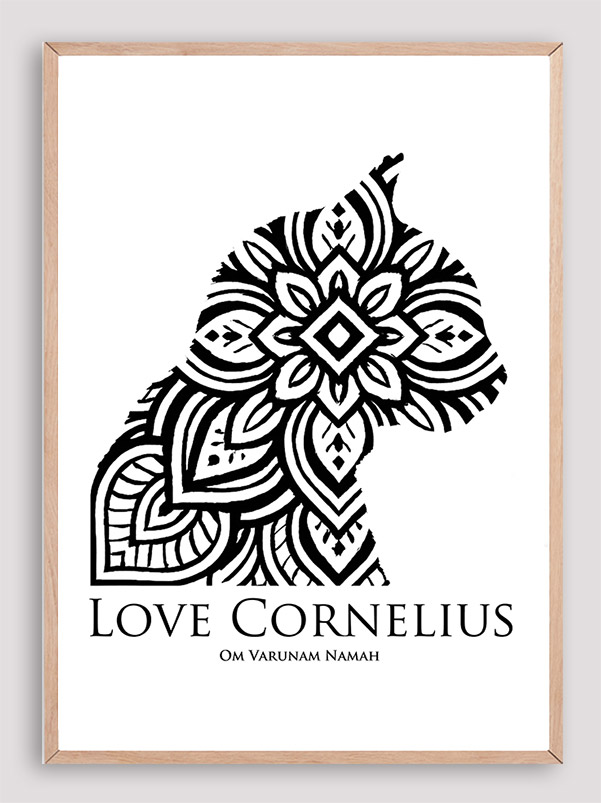 Love Cornelius the cat