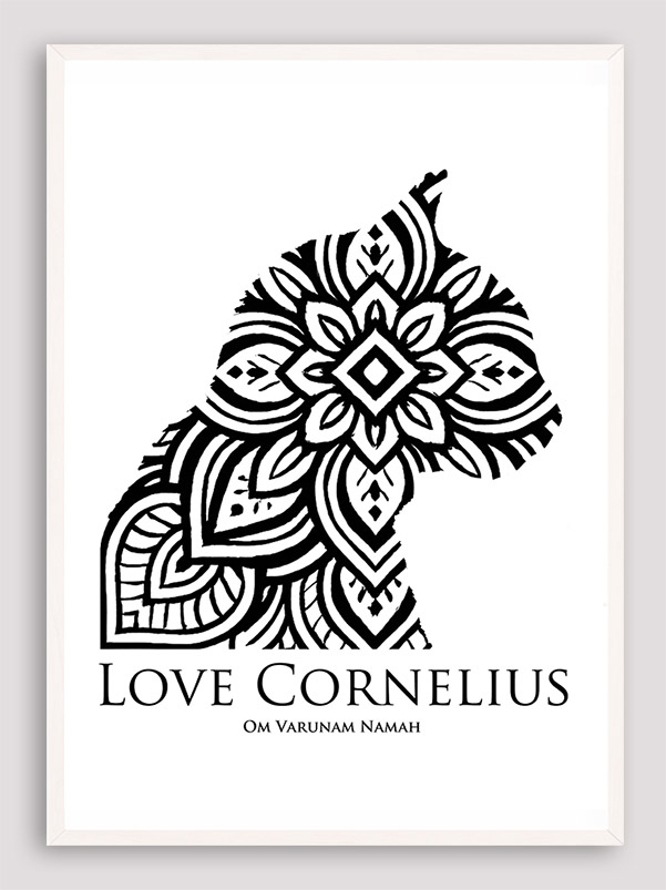 Love Cornelius the cat