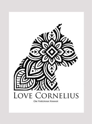 Love Cornelius the cat