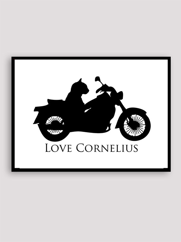 Love Cornelius the cat