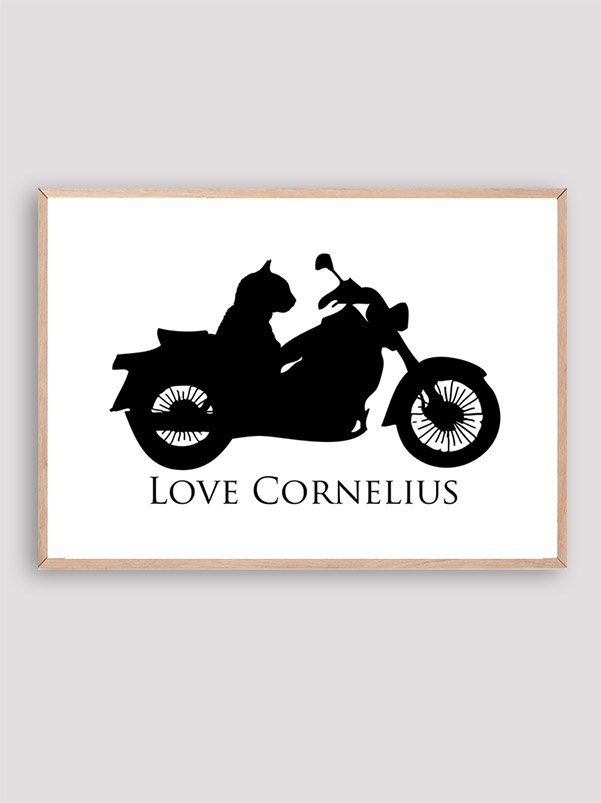 Love Cornelius the cat