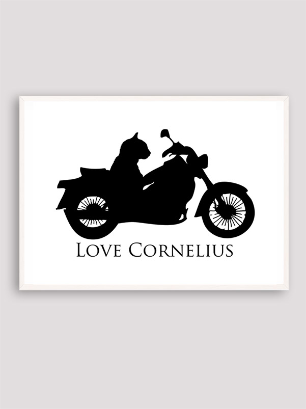 Love Cornelius the cat