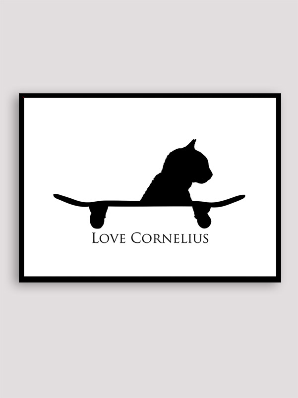 Love Cornelius the cat Love Cornelius the cat