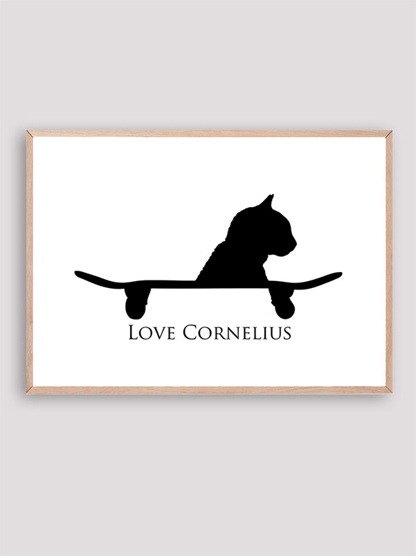 Love Cornelius the cat Love Cornelius the cat