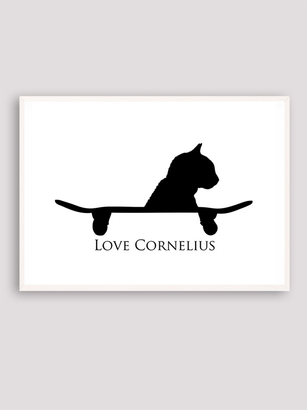 Love Cornelius the cat Love Cornelius the cat