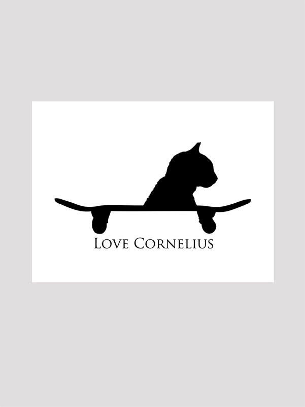 Love Cornelius the cat Love Cornelius the cat