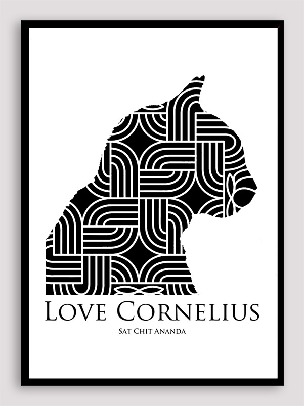 Love Cornelius the cat