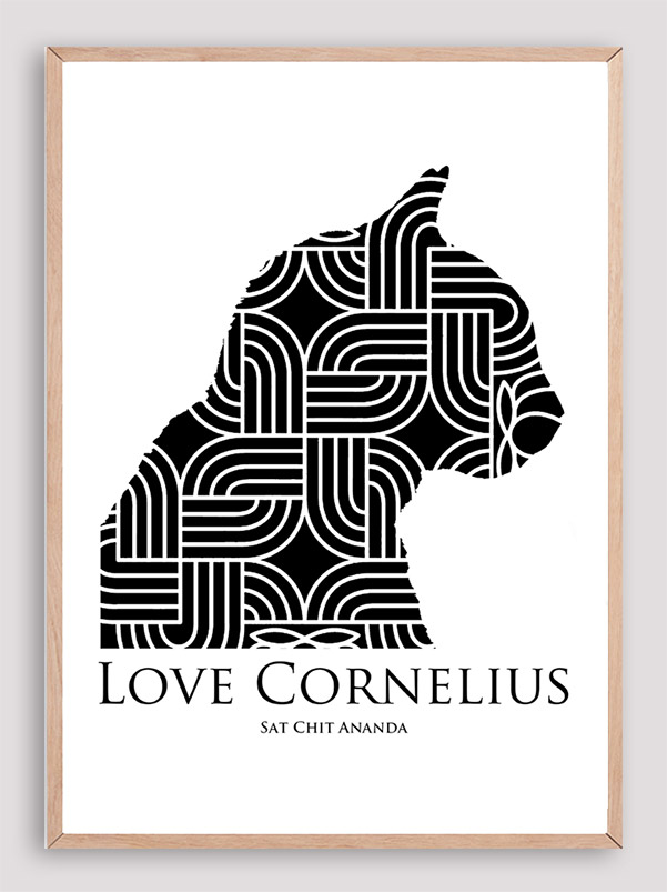 Love Cornelius the cat