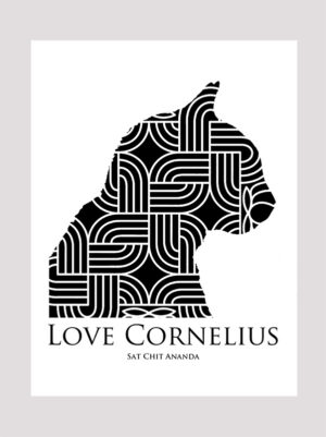 Love Cornelius the cat