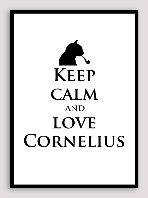 Love Cornelius the cat
