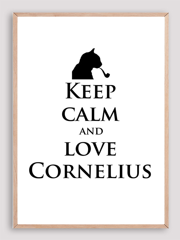 Love Cornelius the cat