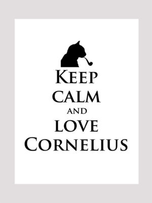 Love Cornelius the cat