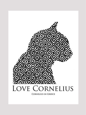 Love Cornelius the cat