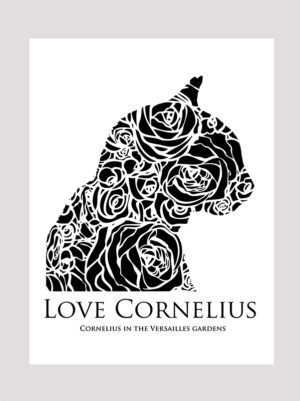 Love Cornelius the cat