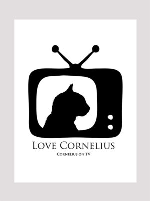 Love Cornelius the cat
