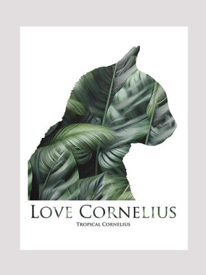 Love Cornelius the cat