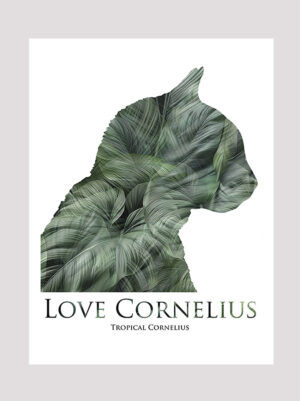 Love Cornelius the cat