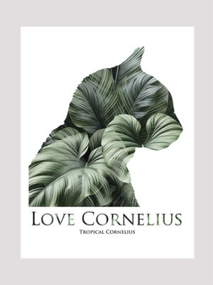 Love Cornelius the cat