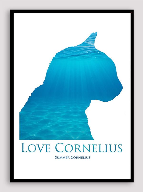 Love Cornelius the cat