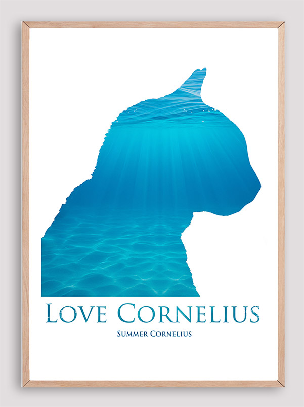 Love Cornelius the cat