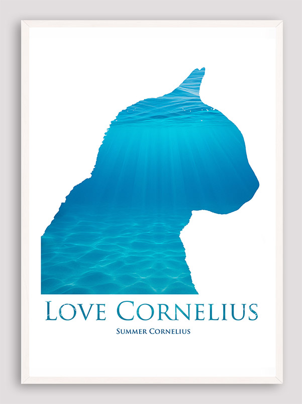Love Cornelius the cat