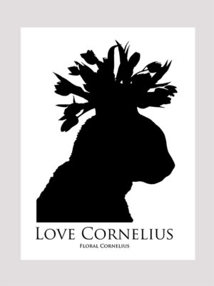 Love Cornelius the cat
