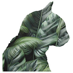 Love Cornelius the cat